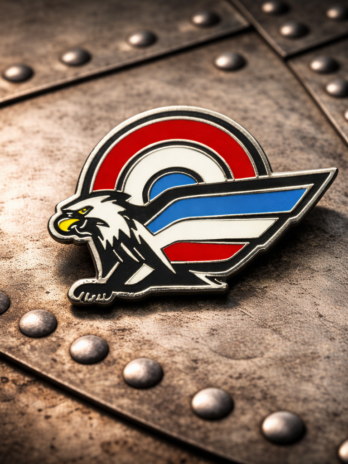 PINS “SUR LA TÊTE DES OISEAUX”