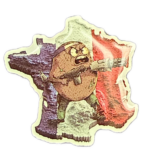 PINS "LE KIWI PATRIOTE"