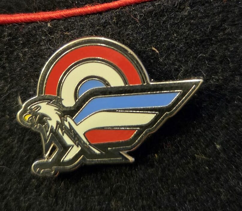 PINS "SUR LA TÊTE DES OISEAUX" – Image 2